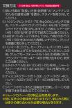 LAYLAX/NINE BALL - Tokyo Marui Hi-capa5.1 GBB Custom Lower Frame RR