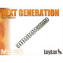 springms80_ng.jpg