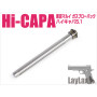 hicapa51_recoilspringguidelight_main.jpg