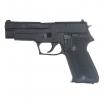 TANAKA WORKS - SIG P226 Early type Evolution 2 ALL Heavy Weight (Model Gun)