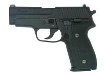 TANAKA WORKS - SIG P228 Evolution 2 ALL Heavy Weight (Model Gun)