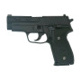 TANAKA WORKS - SIG P228 Evolution 2 ALL Heavy Weight (Model Gun)