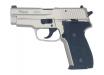 TANAKA WORKS - SIG P228 Evolution 2 “Warm Silver Coating” ALL Heavy Weight (Model Gun)