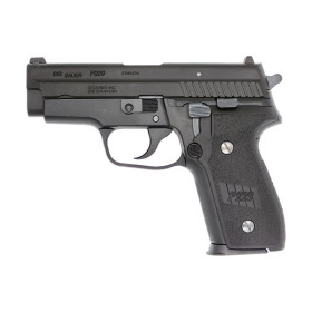 TANAKA WORKS - SIG P229 Evolution 2 ALL Heavy Weight  (Model Gun)