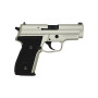 TANAKA WORKS - SIG P229 “Warm Silver Coating” Evolution 2 ALL Heavy We