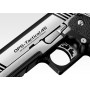 HI-CAPA CUSTOM DUAL STAINLESS (1)