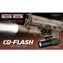 p_cqflash_01